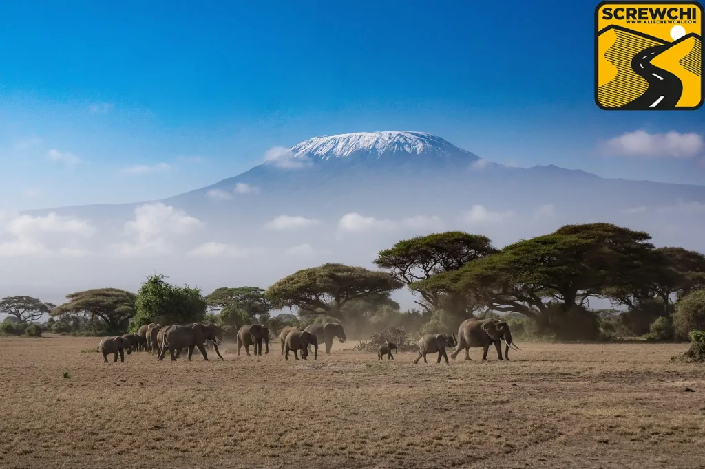 بهترین زمان برای سفر به کنیا