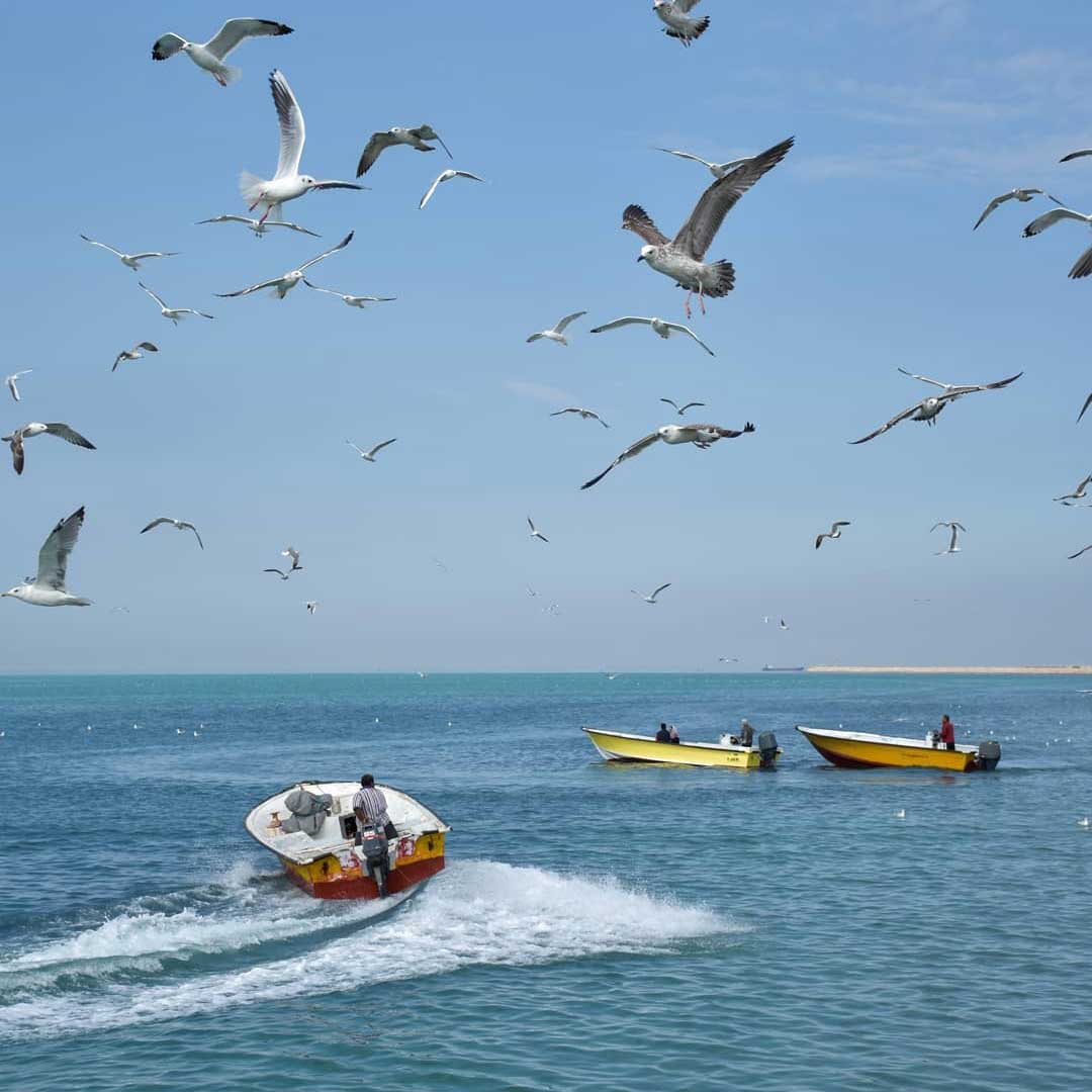 Untitled-2 تور خط ساحلی خلیج همیشه فارس | 15 دی 1404 - تصویر 1