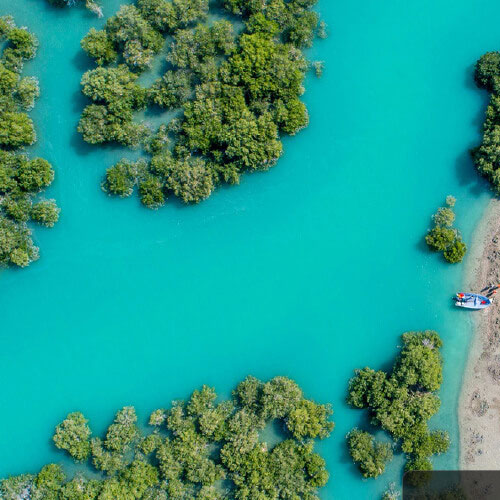 تور خط ساحلی خلیج همیشه فارس | 20 بهمن 1404