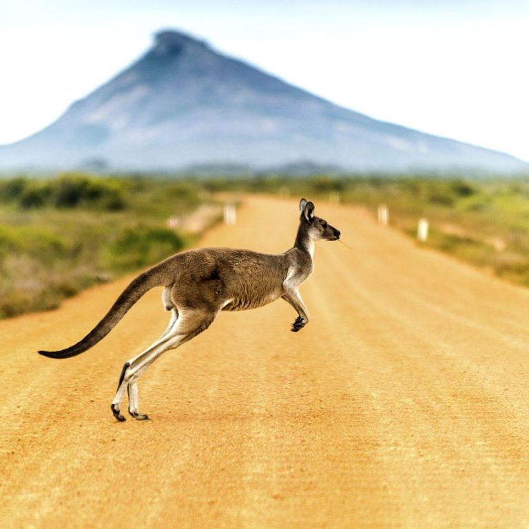 استرالیا | ویژه نوروز