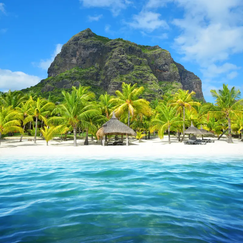 beautiful-sandy-beach-le-morne-brabant-mountain-south-mauritius-island-tropical-landscape-beautiful-sandy-beach-165273525 تور سیشل، موریس و ماداگاسکار | ۲۰ آذر 1405 - تصویر 1